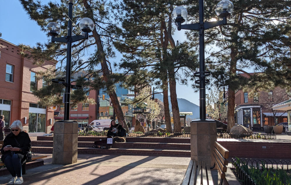 Tall pines and a banjo player on Pearl Street, Boulder